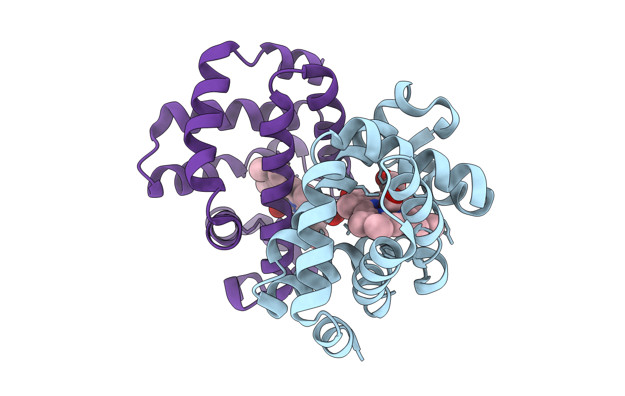 2AUQ image