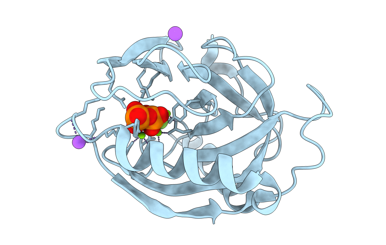 2AUU image