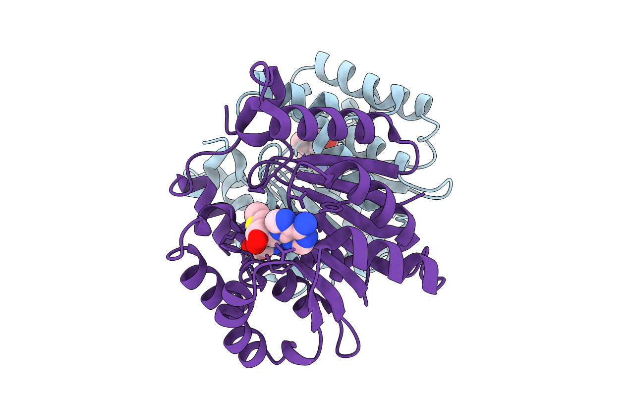 2AVD image