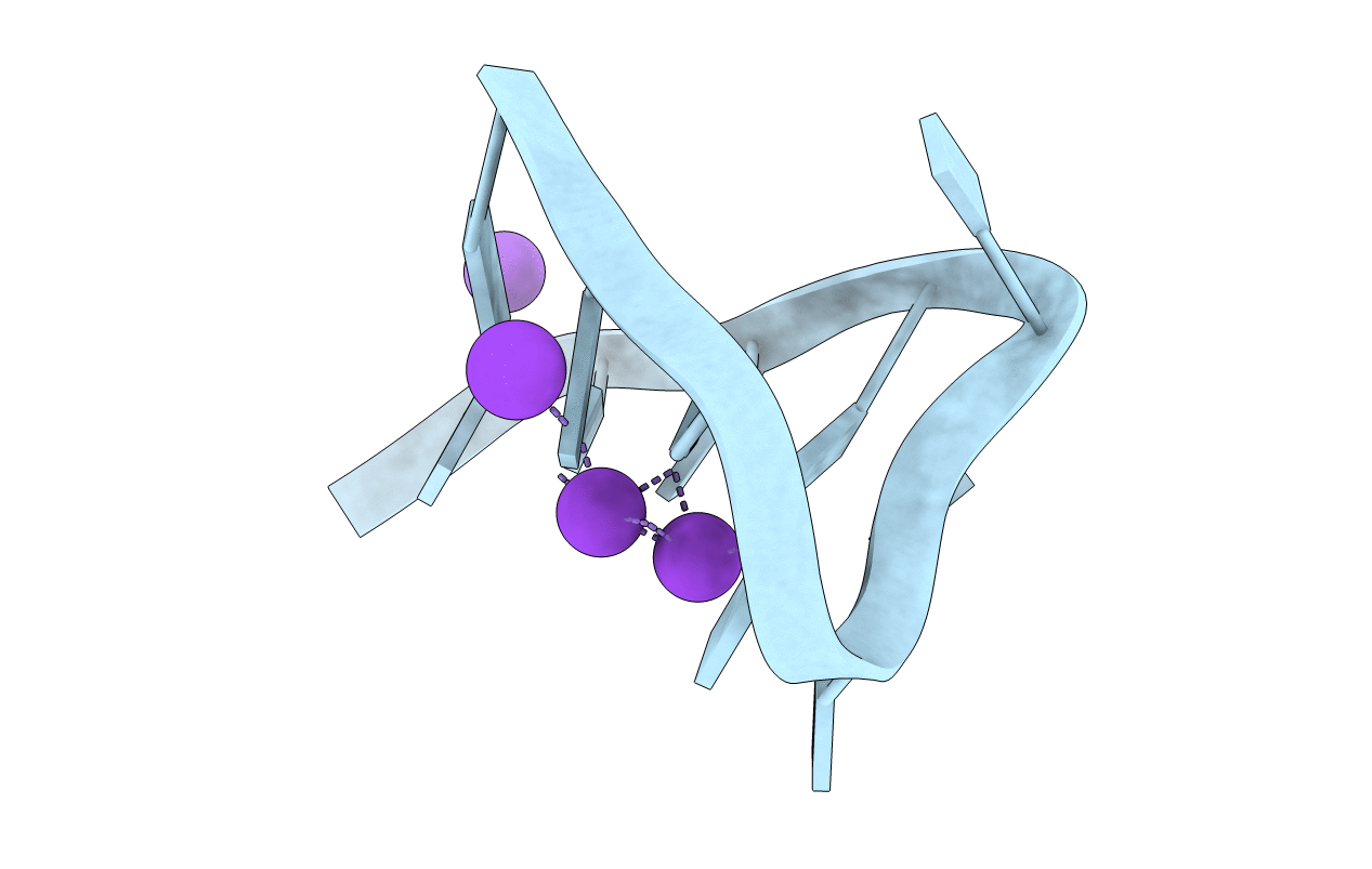 2AVH image