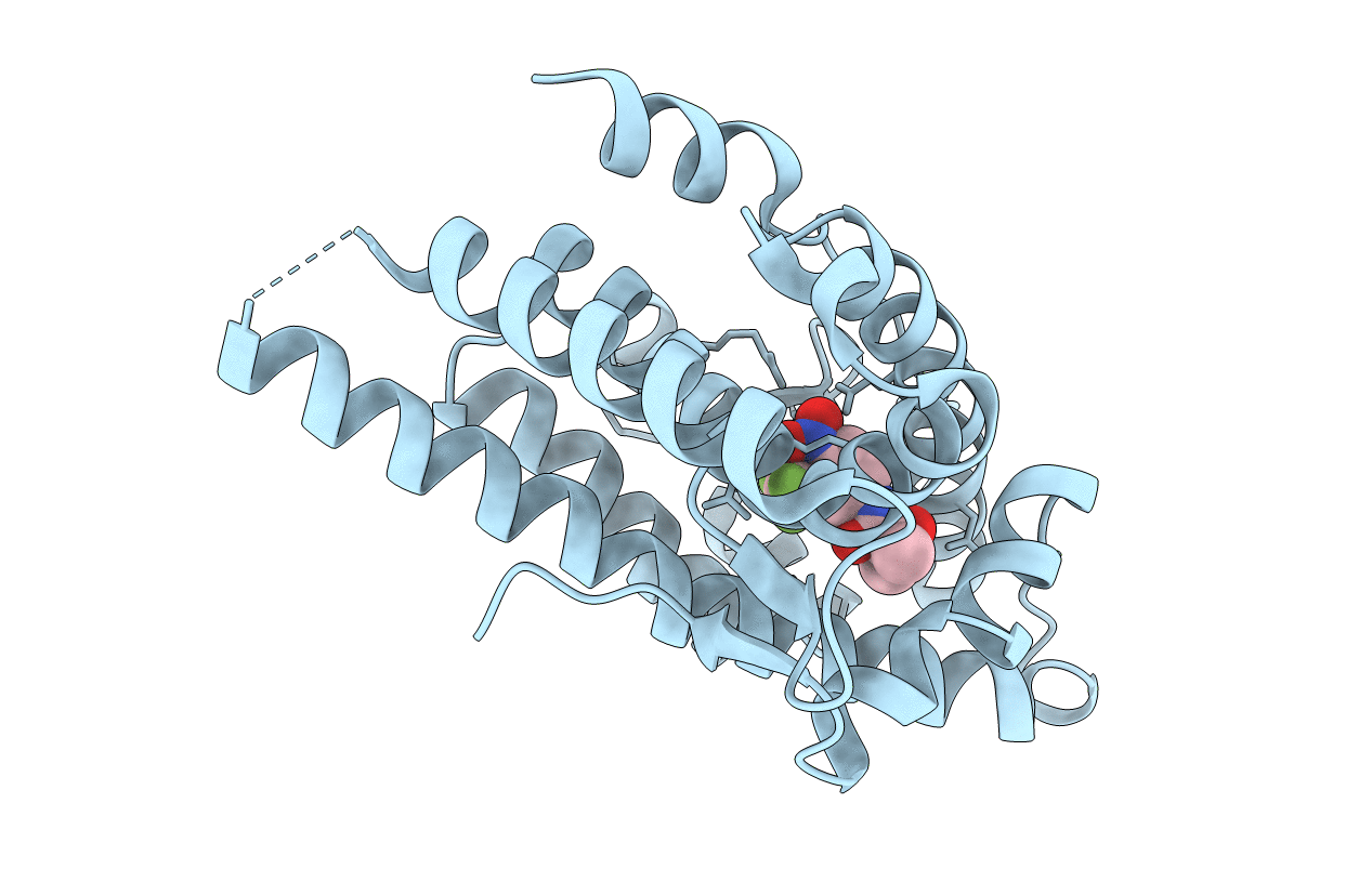 2AX6 image