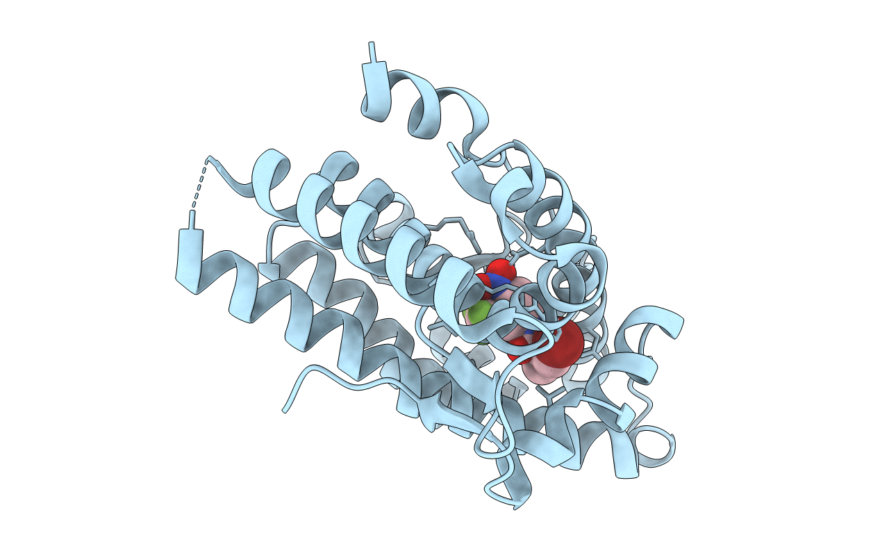 2AX9 image