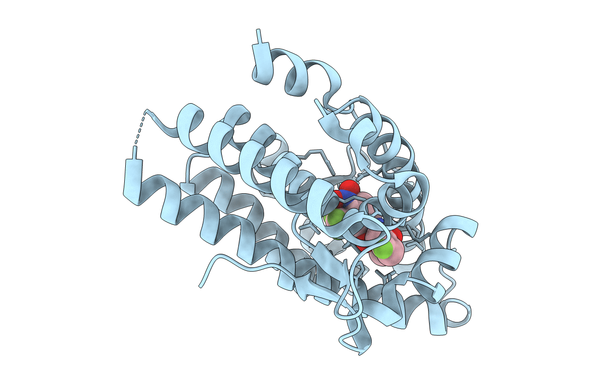 2AXA image