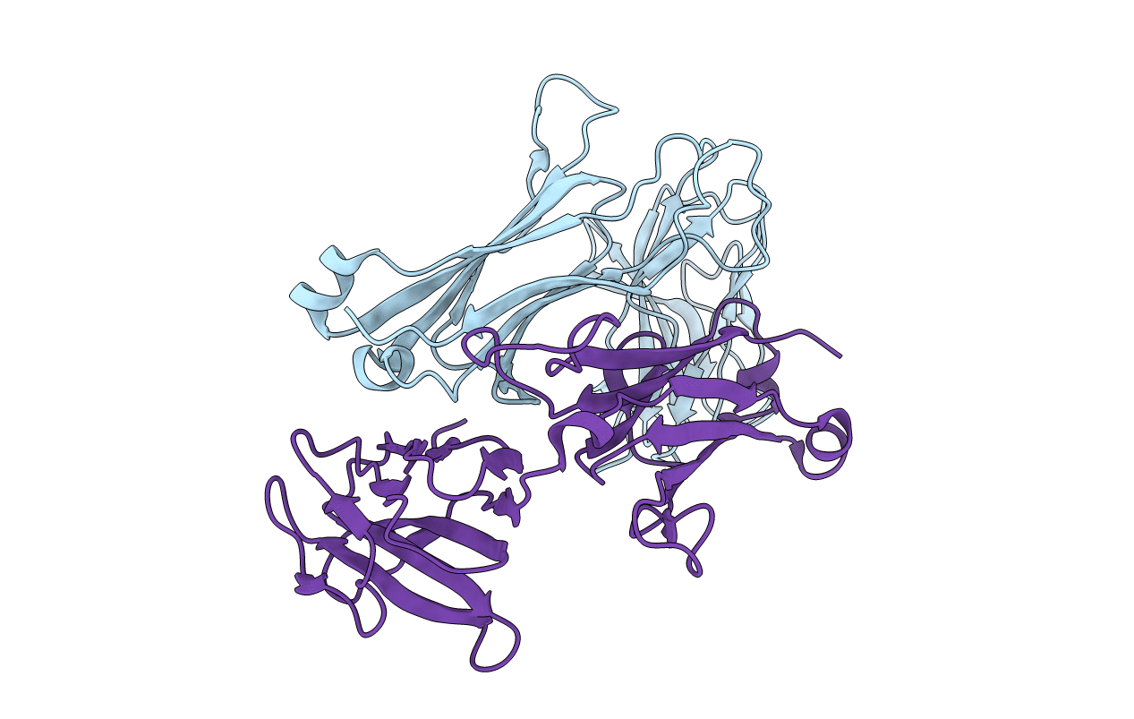 2AXH image