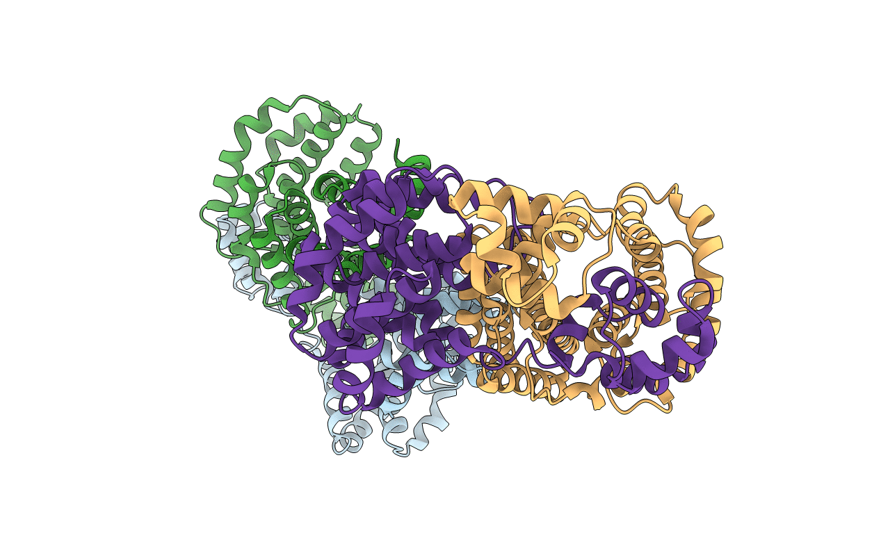 2AXV image