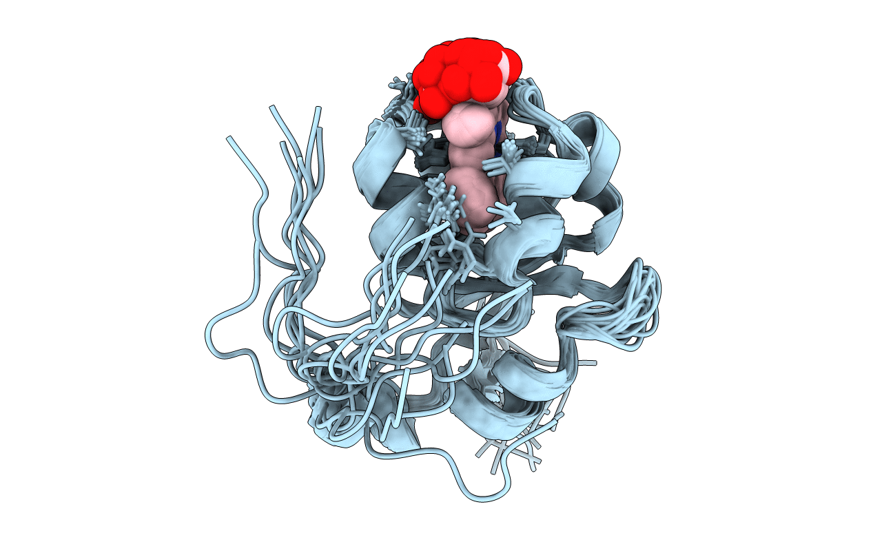 2AXX image