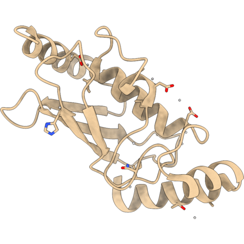 2AYV image