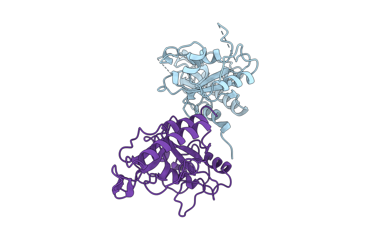 2AZO image