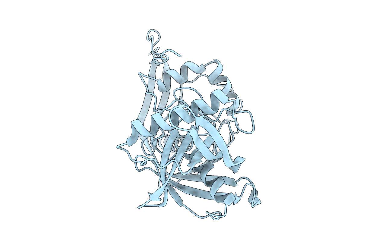 2AZP image