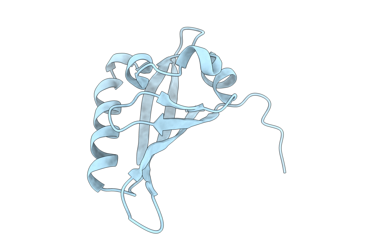 2B02 image