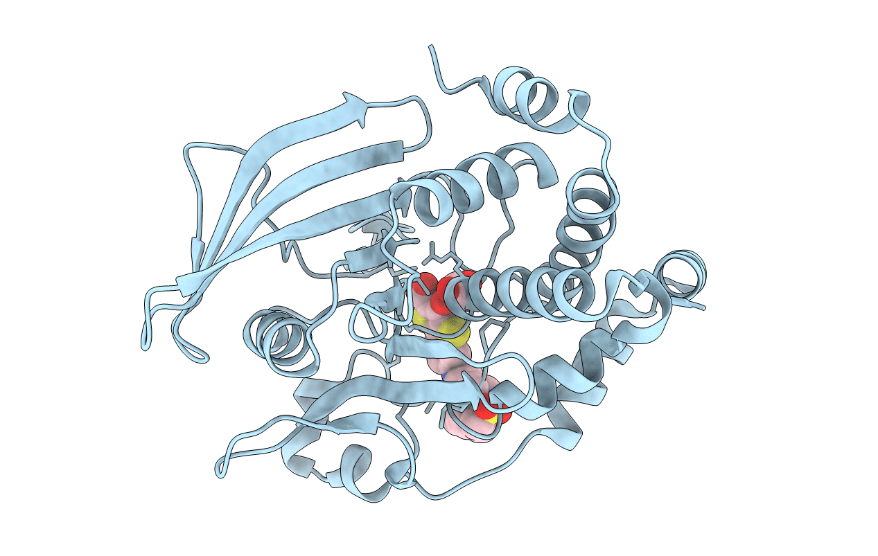 2B07 image