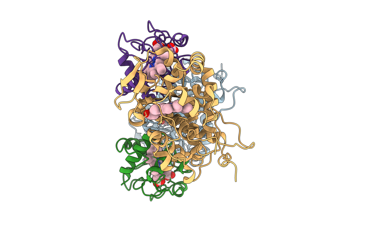 2B10 image
