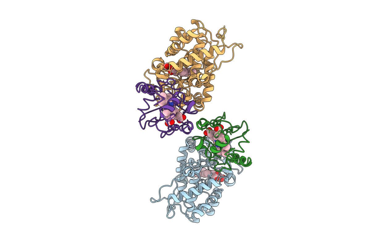 2B11 image