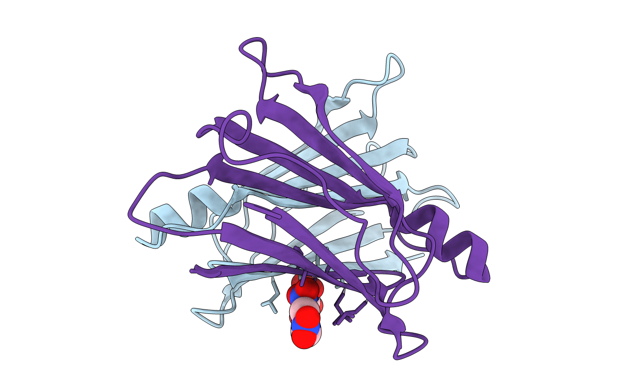 2B14 image