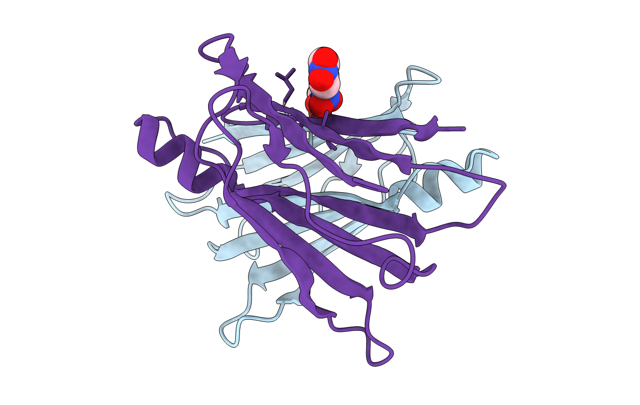 2B16 image