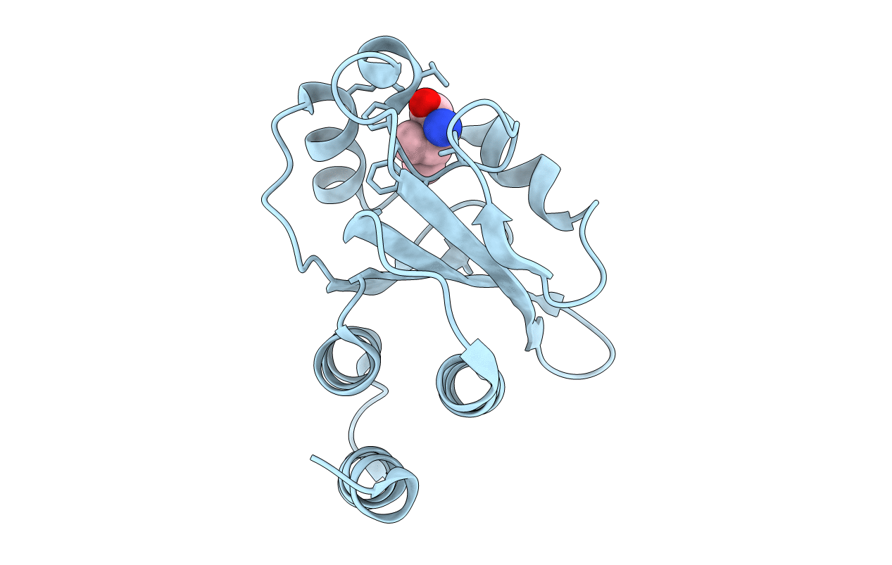 2B18 image