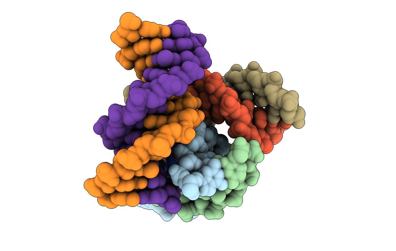 2B1D image