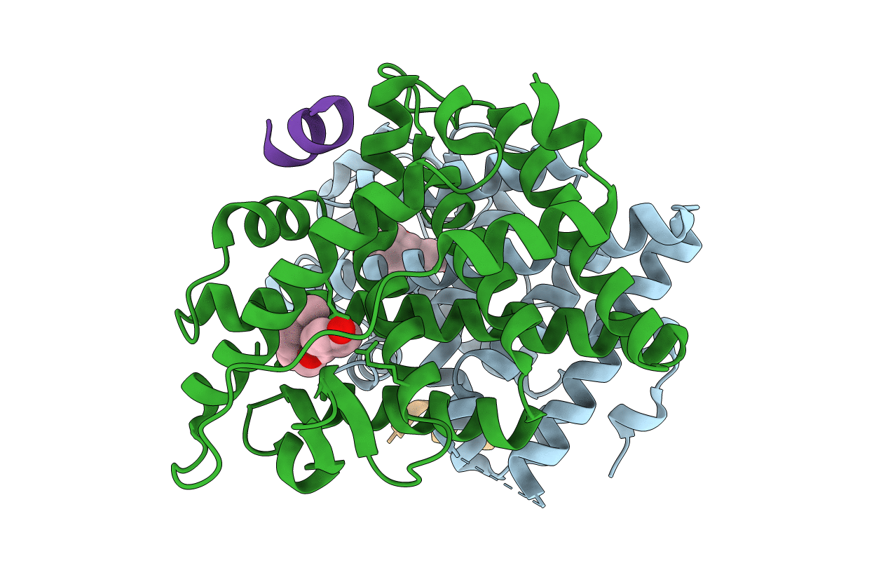 2B1V image