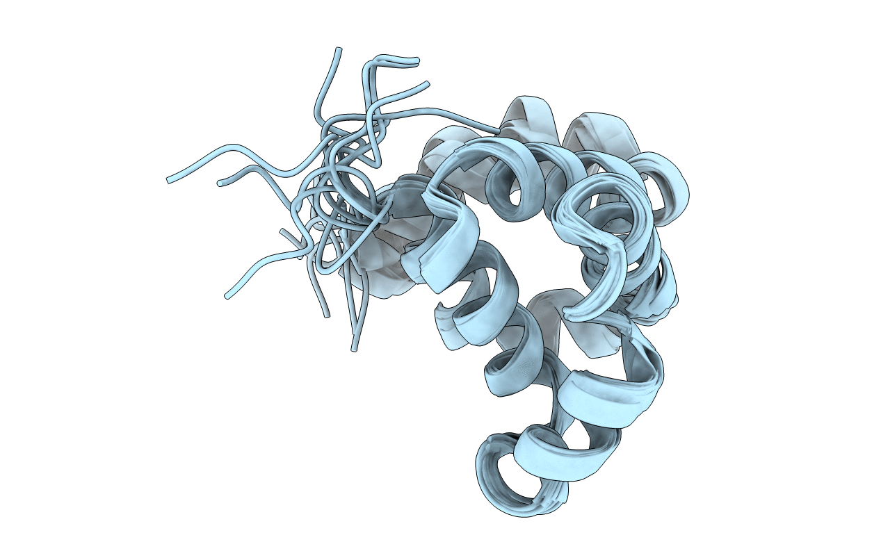 2B1W image