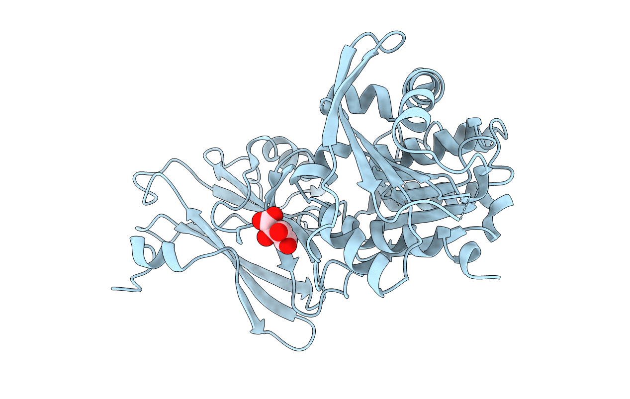 2B20 image