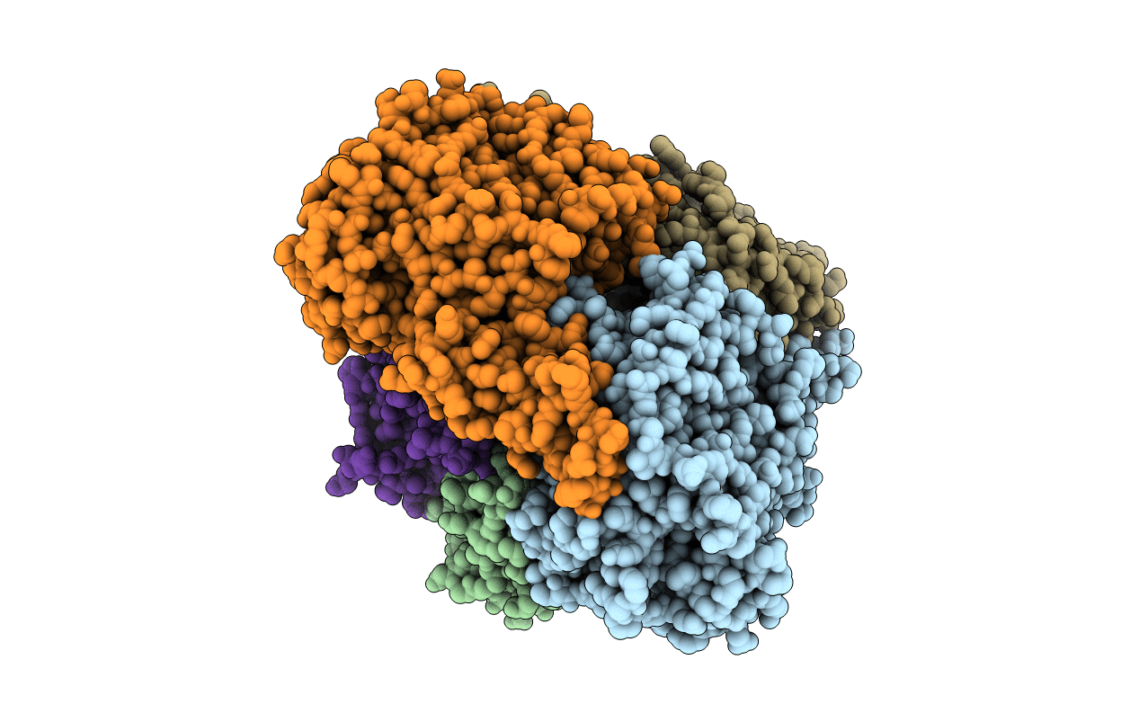 2B24 image