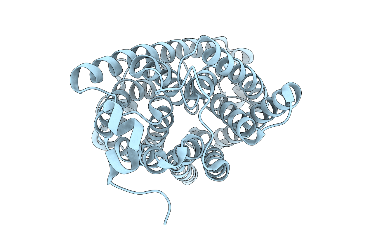 2B2H image