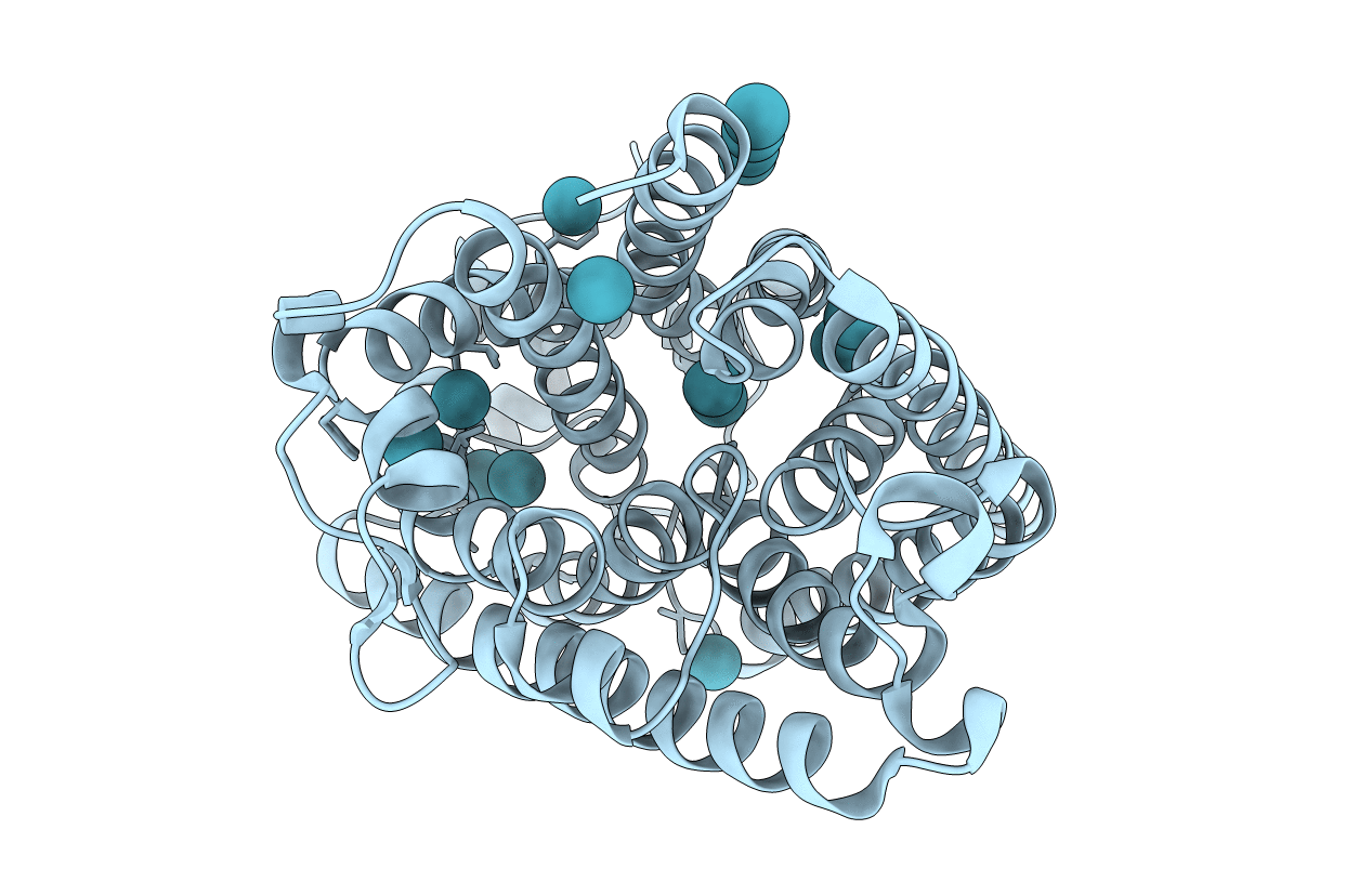2B2J image