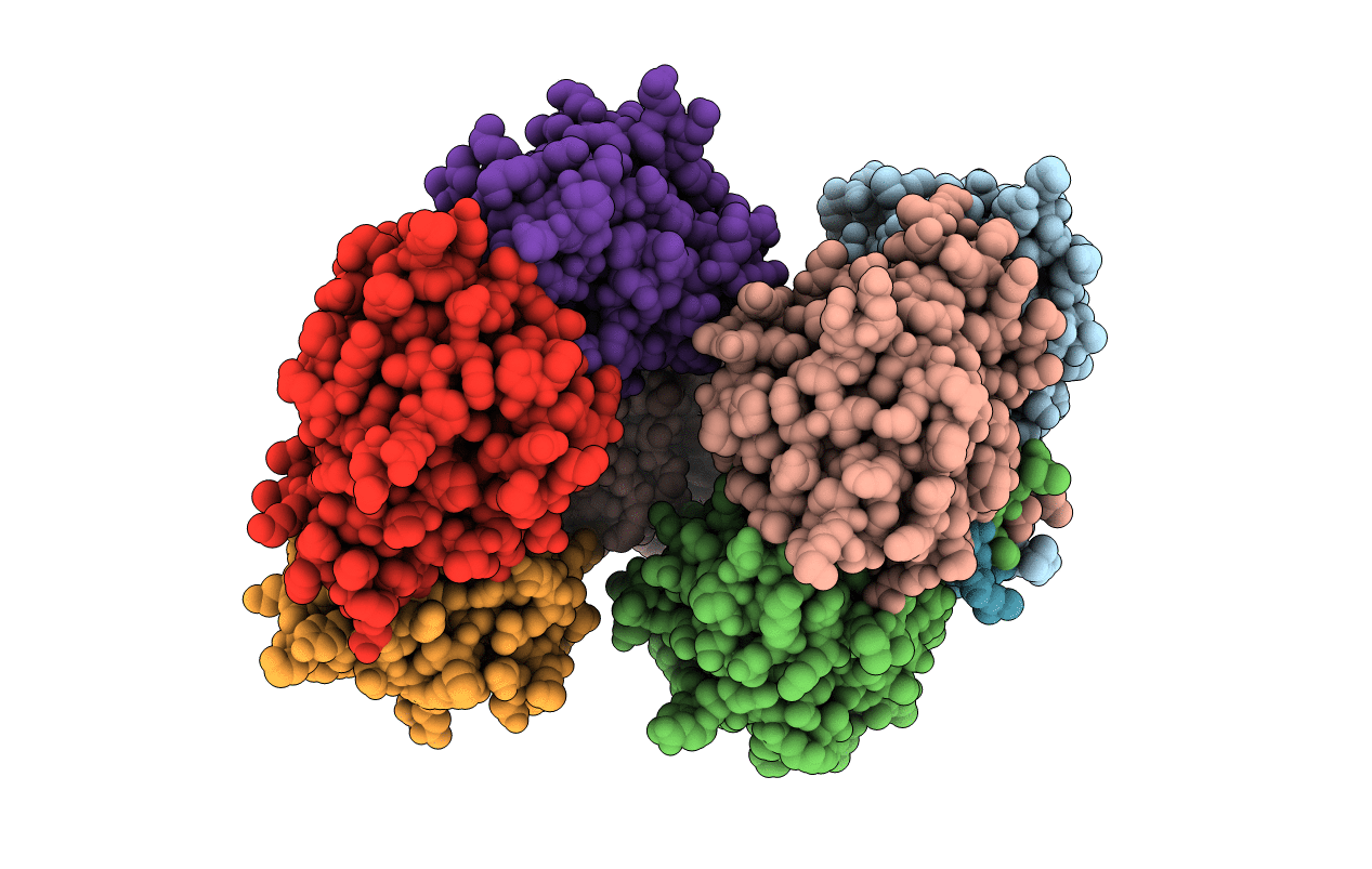 2B34 image
