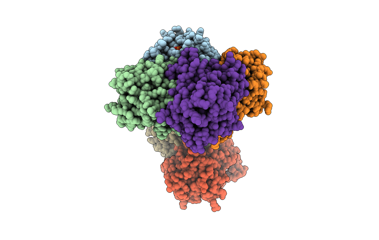 2B37 image