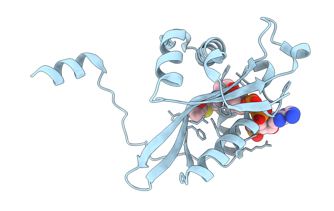 2B3V image