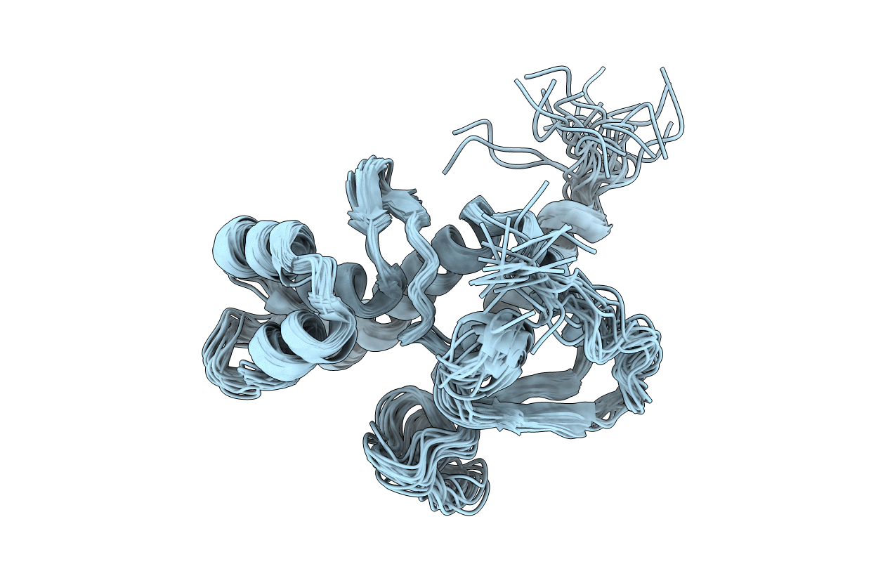 2B3W image