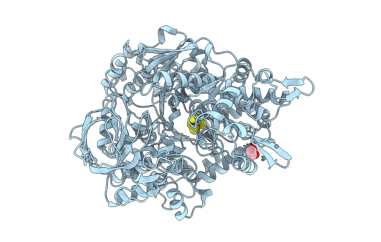 2B3X image
