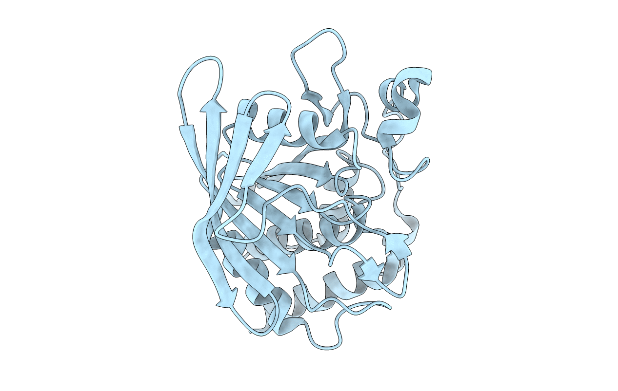 2B49 image
