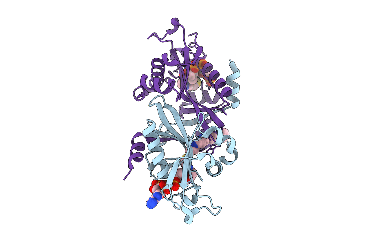 2B4B image