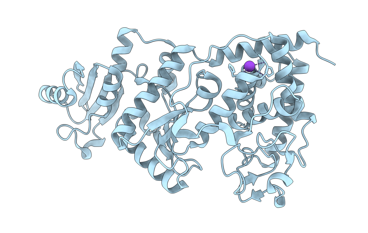 2B4V image