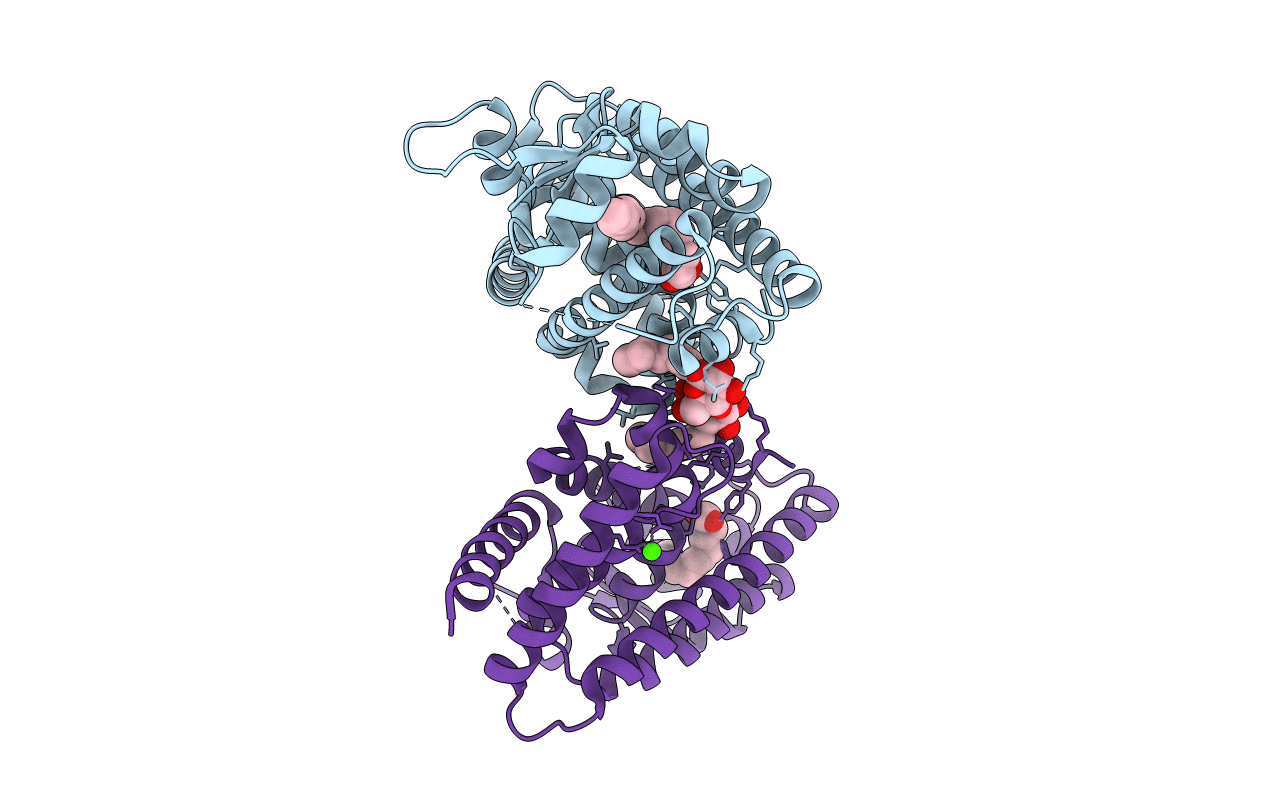 2B50 image