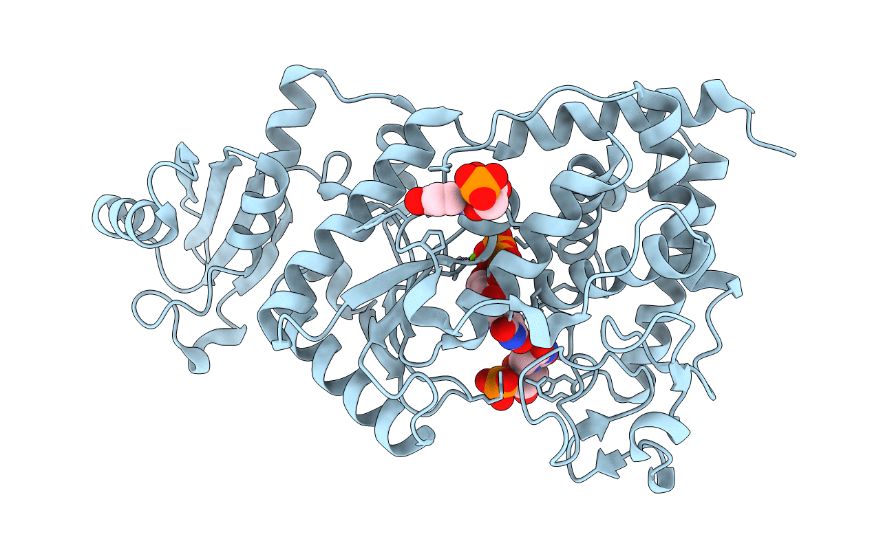 2B56 image
