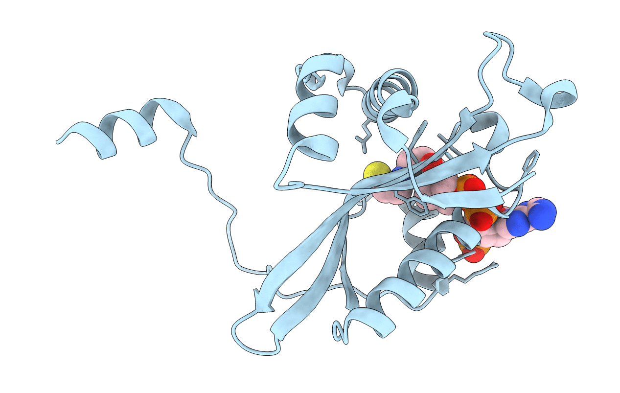 2B58 image