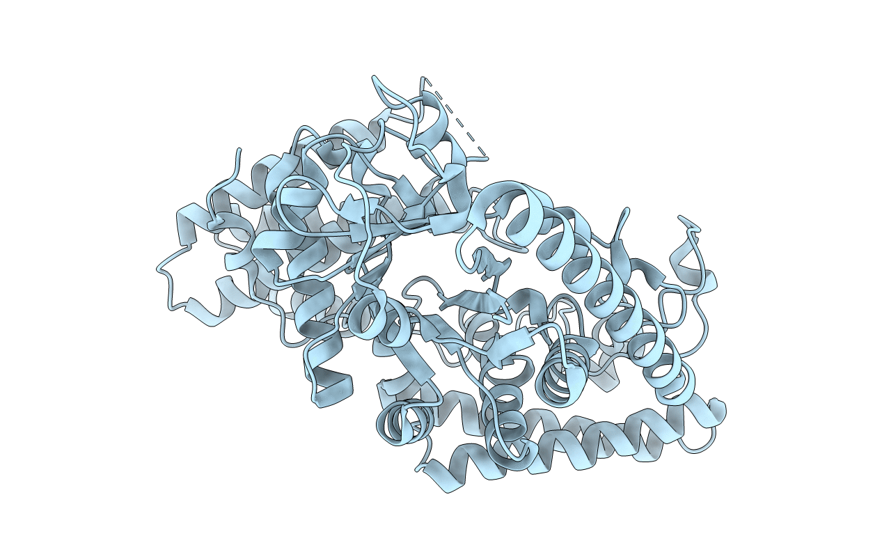 2B5D image
