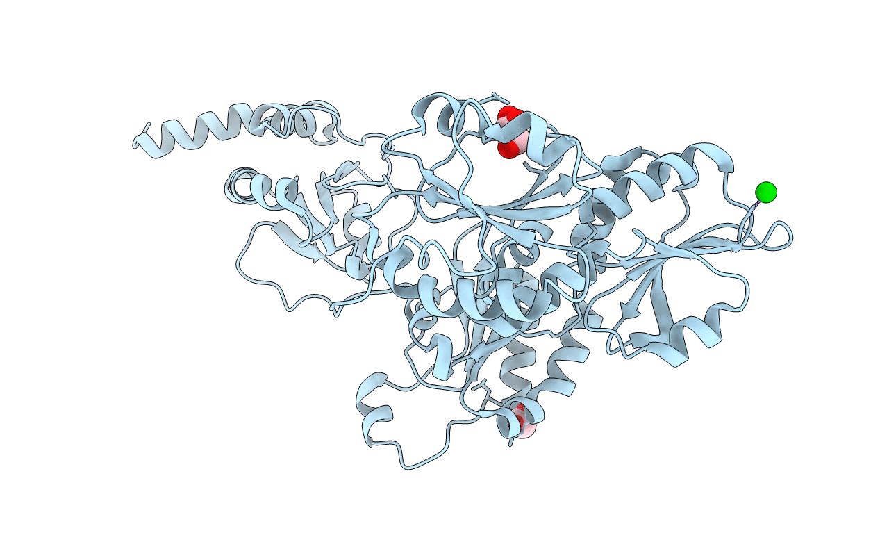 2b5e image