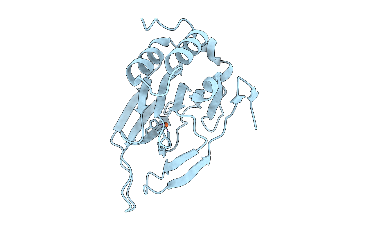 2b5h image