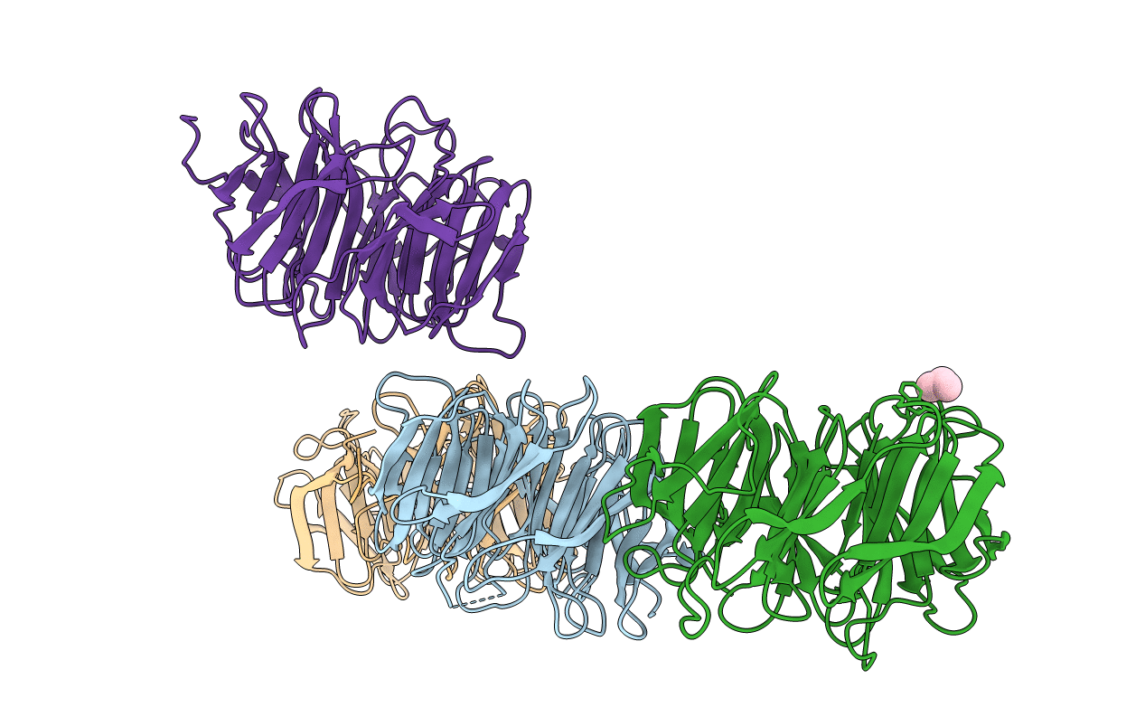 2B5N image