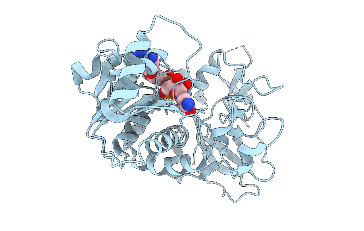 2B5V image