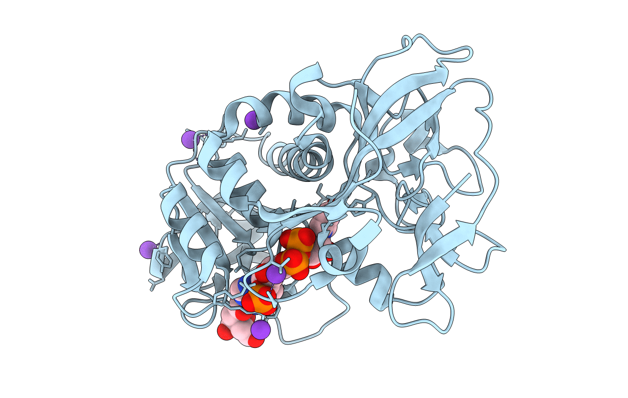 2B5W image
