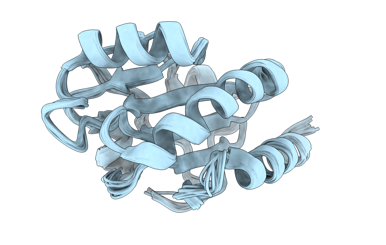 2B5X image