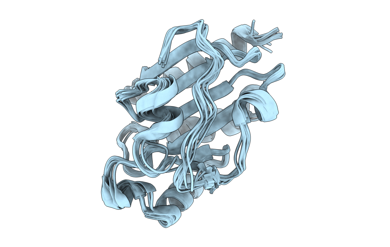 2B5Y image
