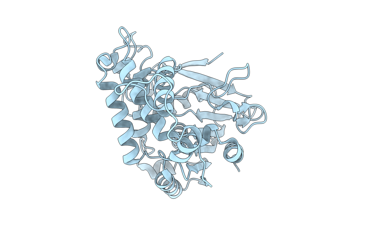 2B61 image
