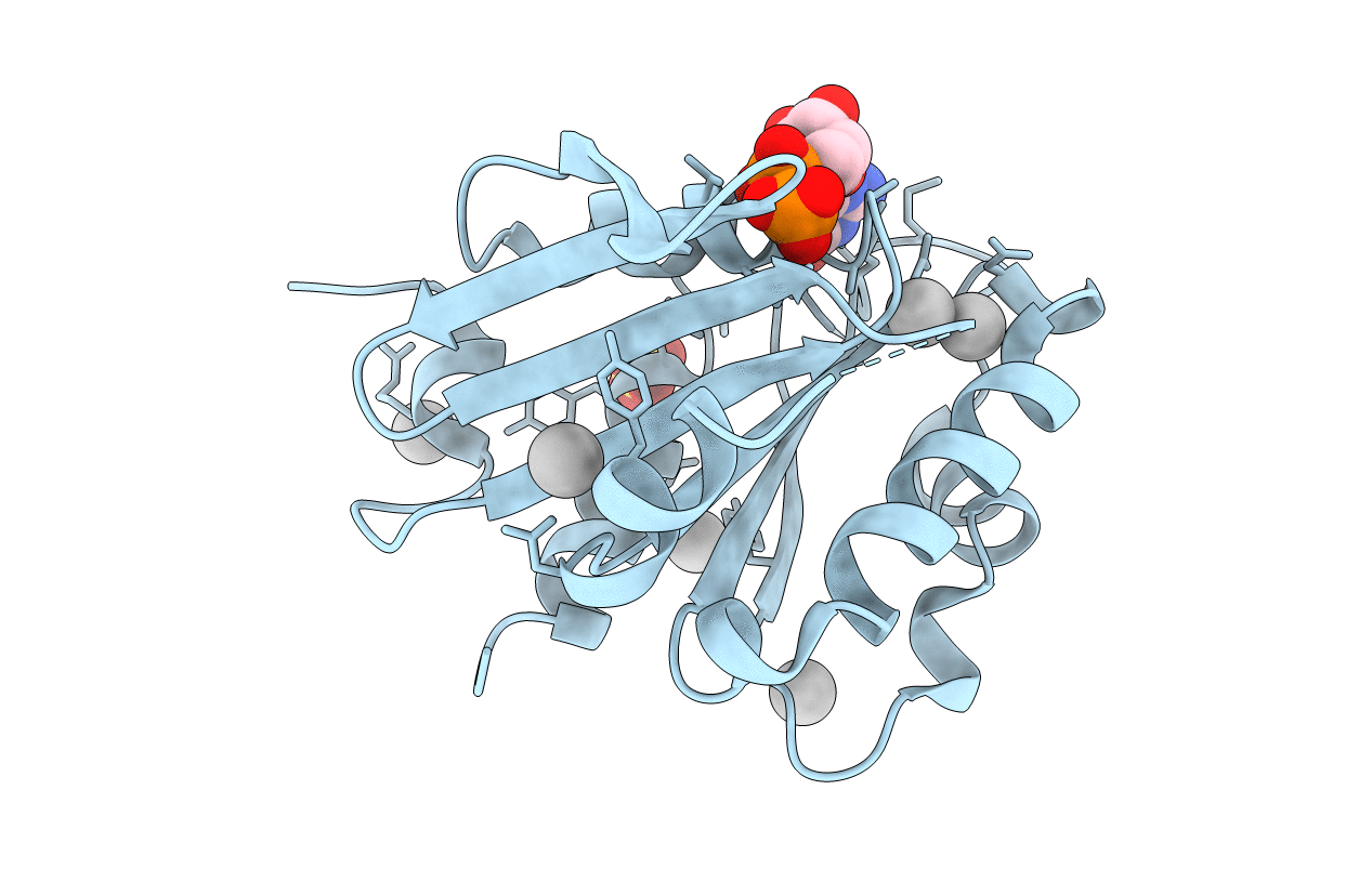 2B6H image