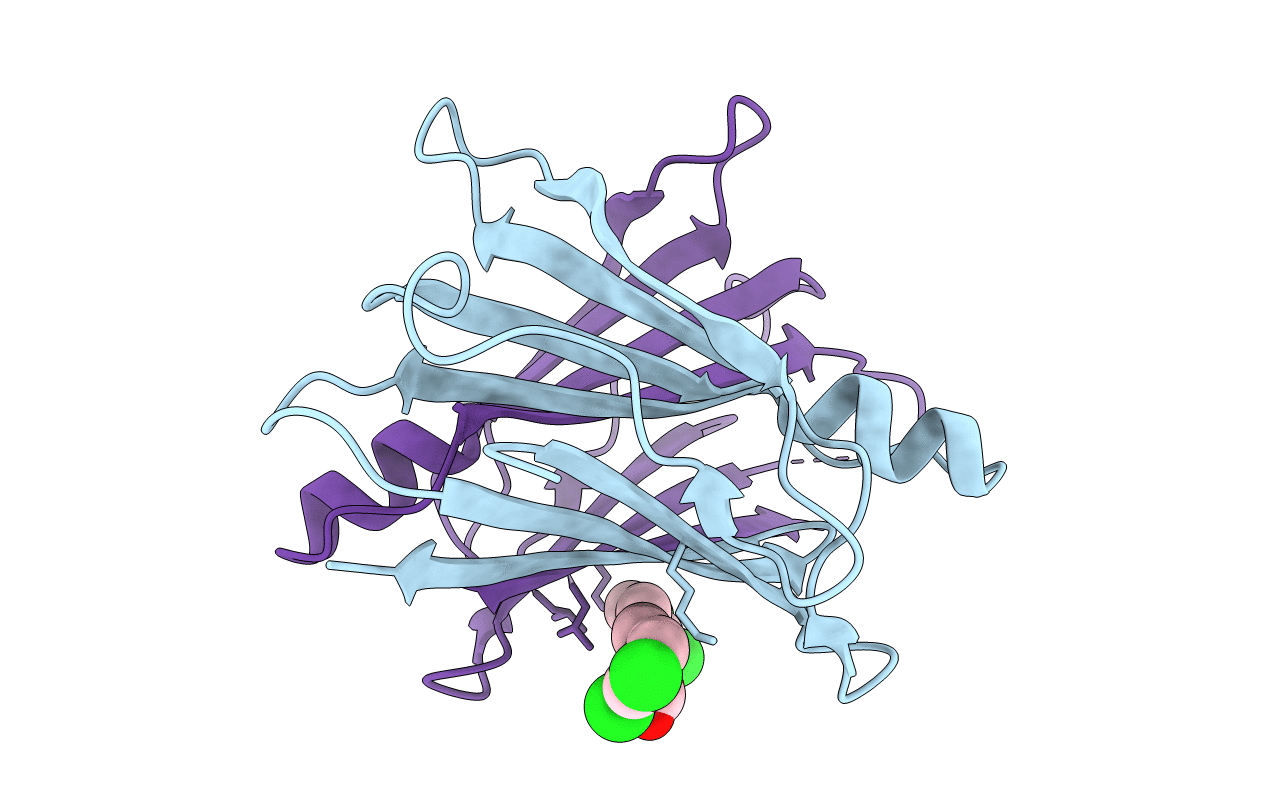 2B77 image