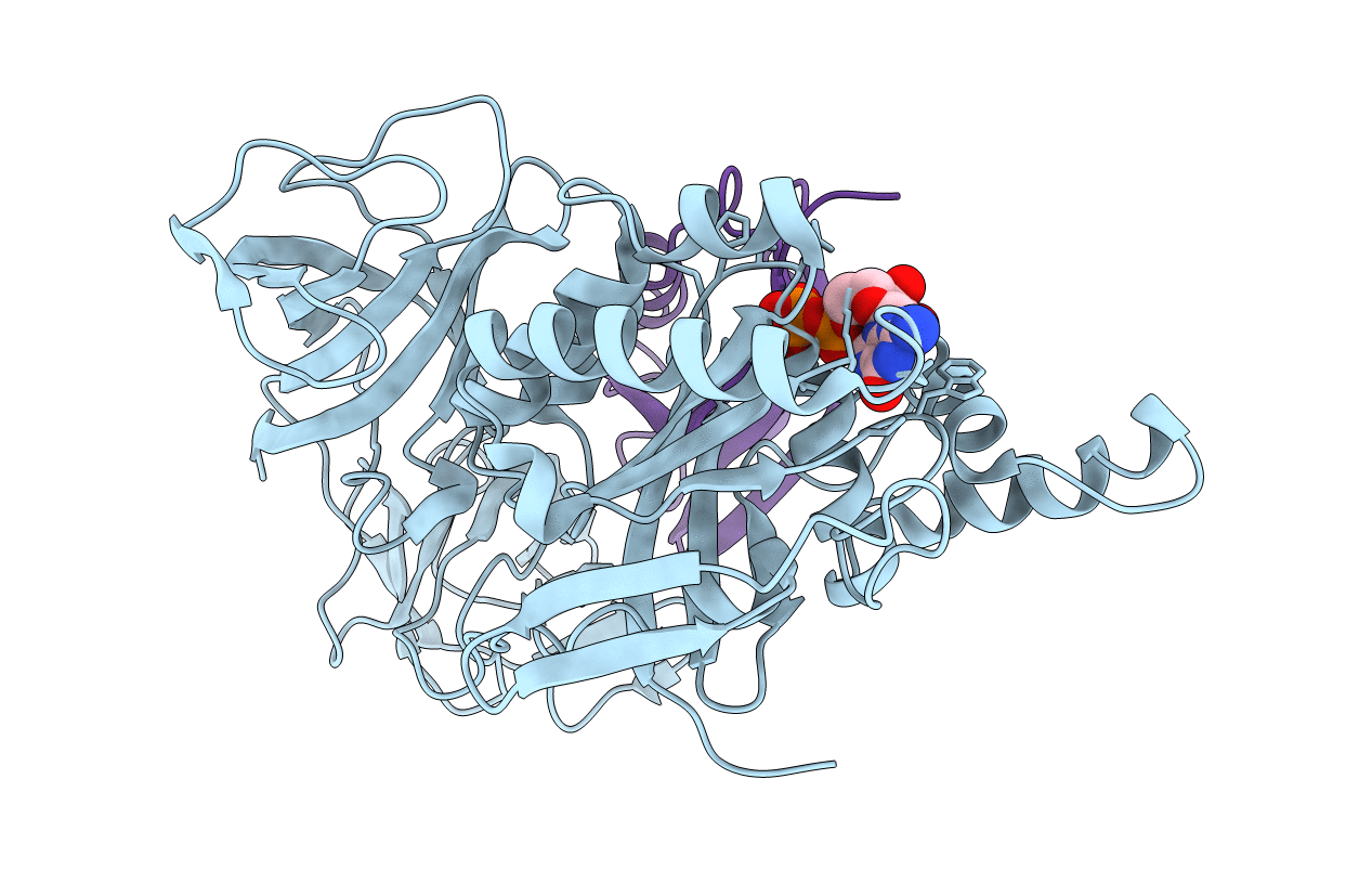 2B7B image